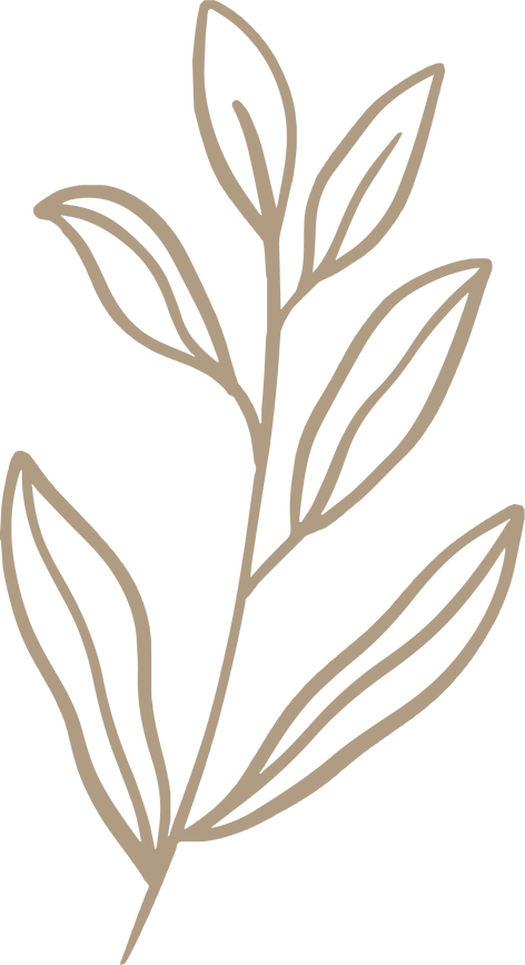 Plant Branch Illustration 